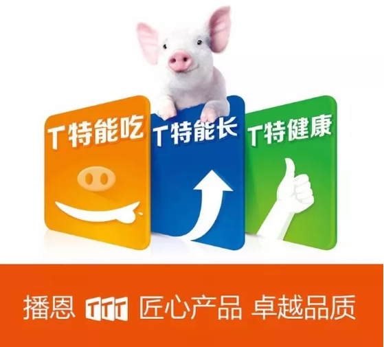 CA88(�й���)Ψһ�ٷ���վ