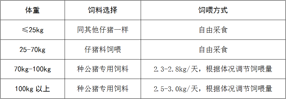 CA88(�й���)Ψһ�ٷ���վ